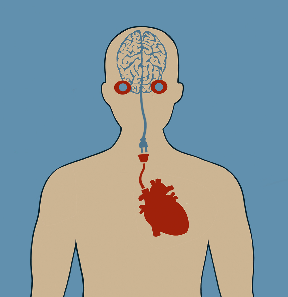 Connection between the brain, eyes and heart diagram