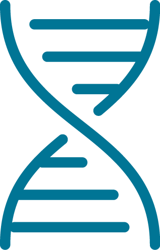 Icon of DNA double-helix
