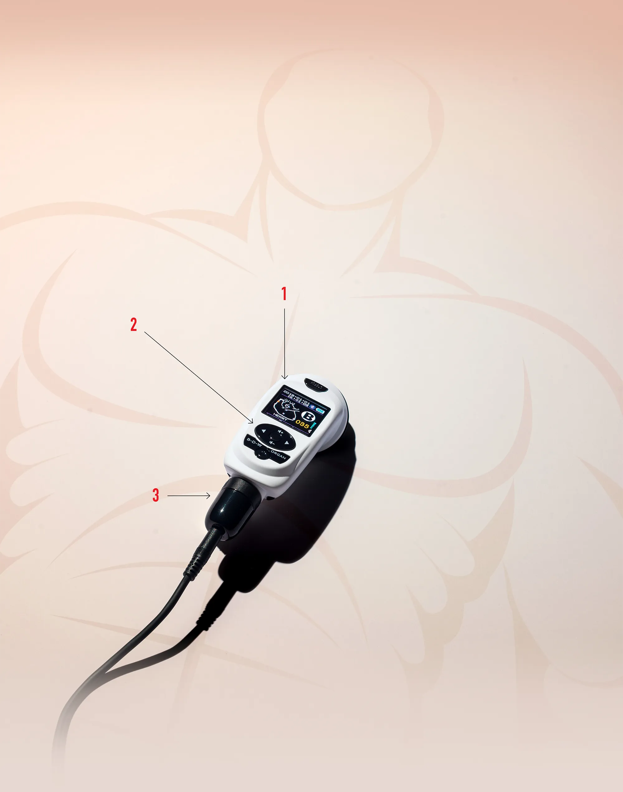 digital stethoscope on background of illustrated muscled figure