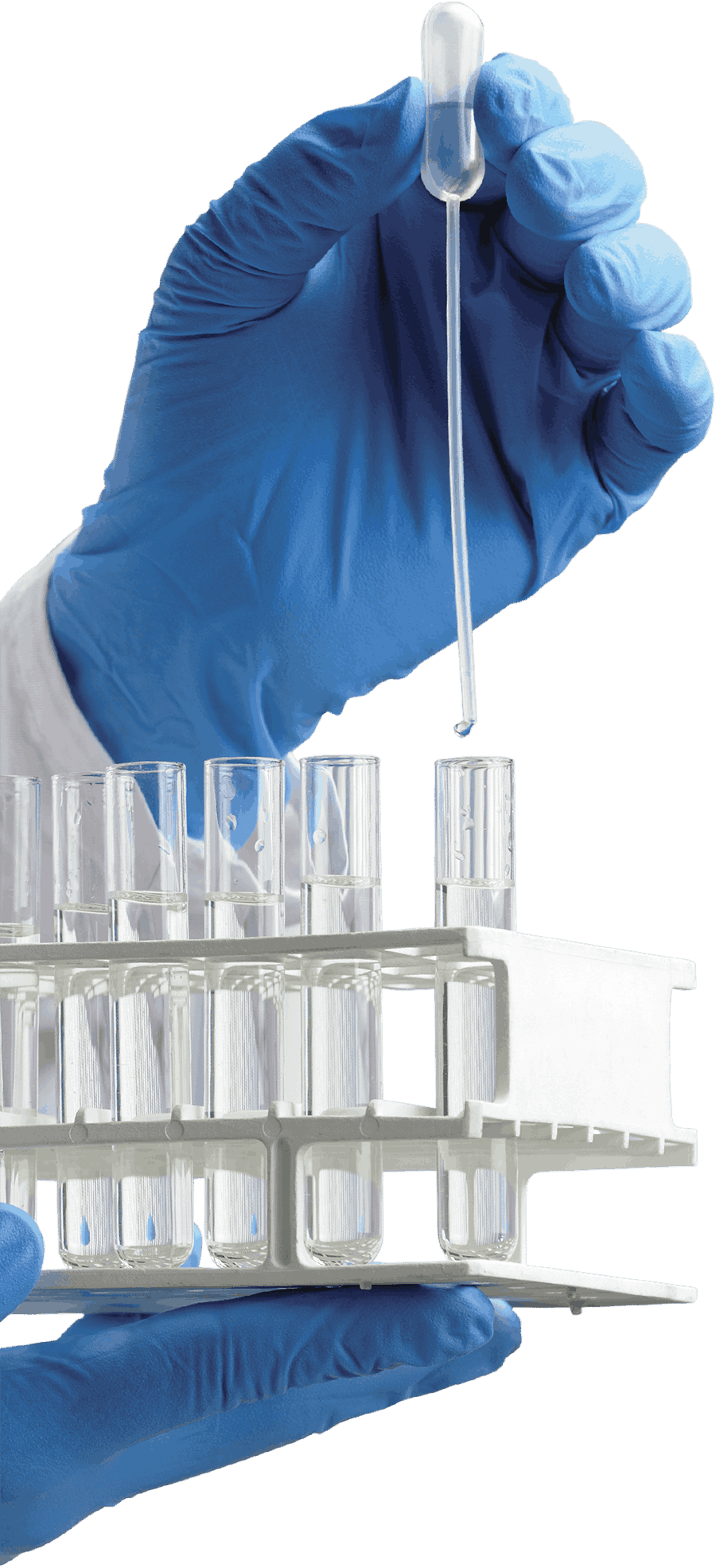A gloved hand uses a pipette to dispense liquid into a test tube rack.